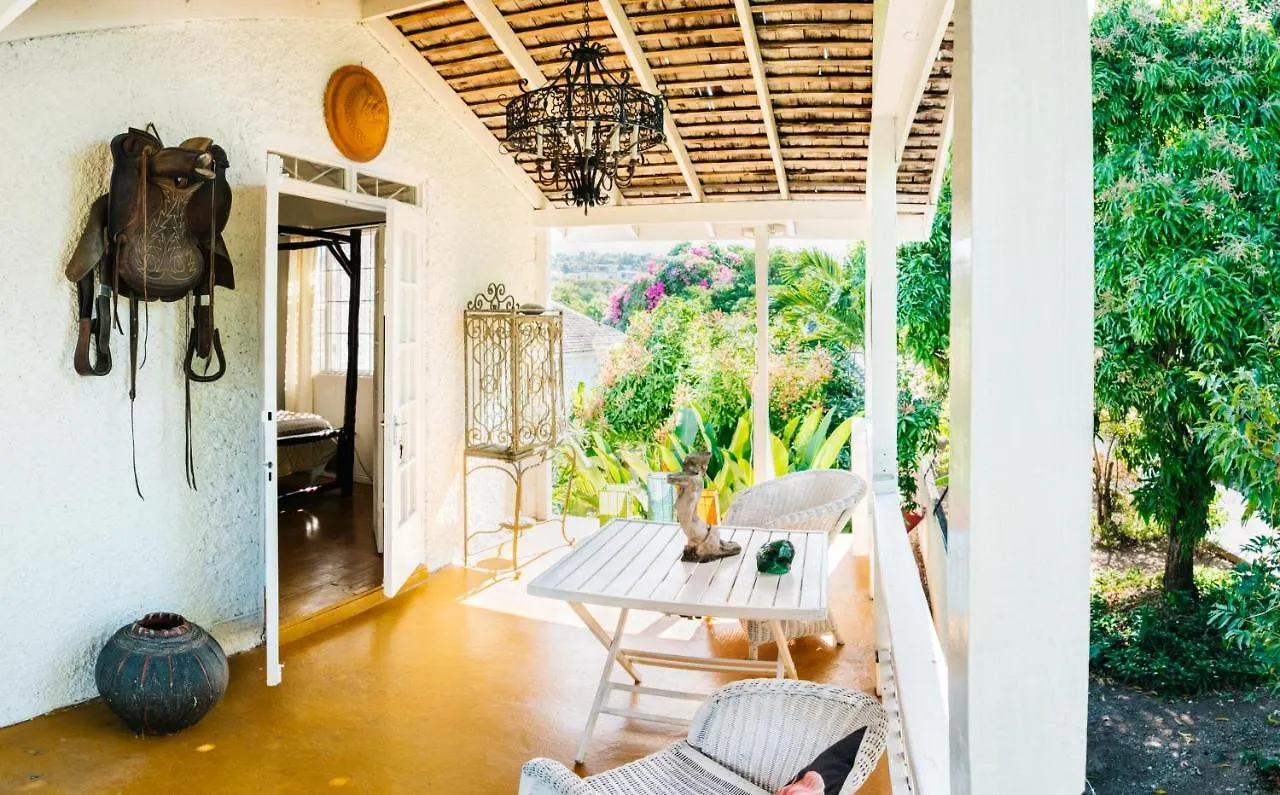 Mikuzi Hotel Kingston 0*,  Jamaica